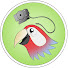 bIKiHHNVcJ4-channel-avatar-WebCamParrot