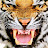 @moustafa147