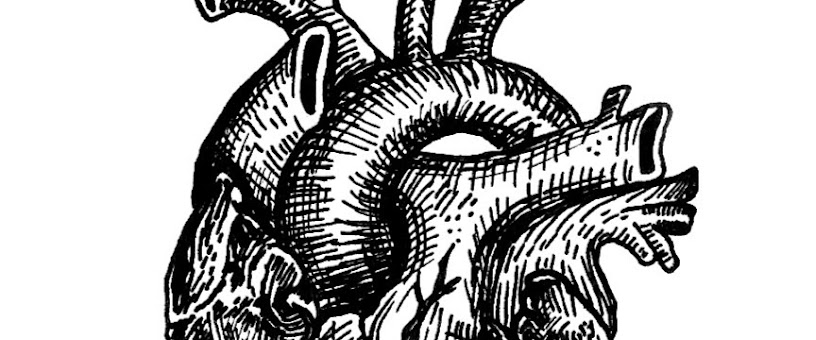 Artist Thumbnail