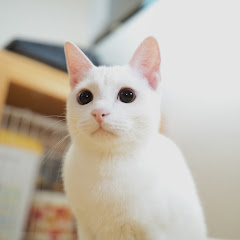 ぴえろん