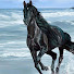 KtB07W_3EFM-channel-avatar-Constantin Pitic