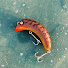 MIVTAhXWjIM-channel-avatar-Lorentzca Video Blog