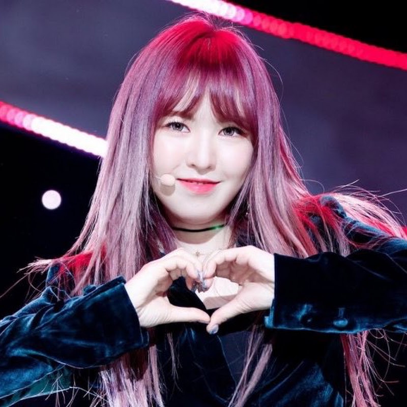 하자레벨