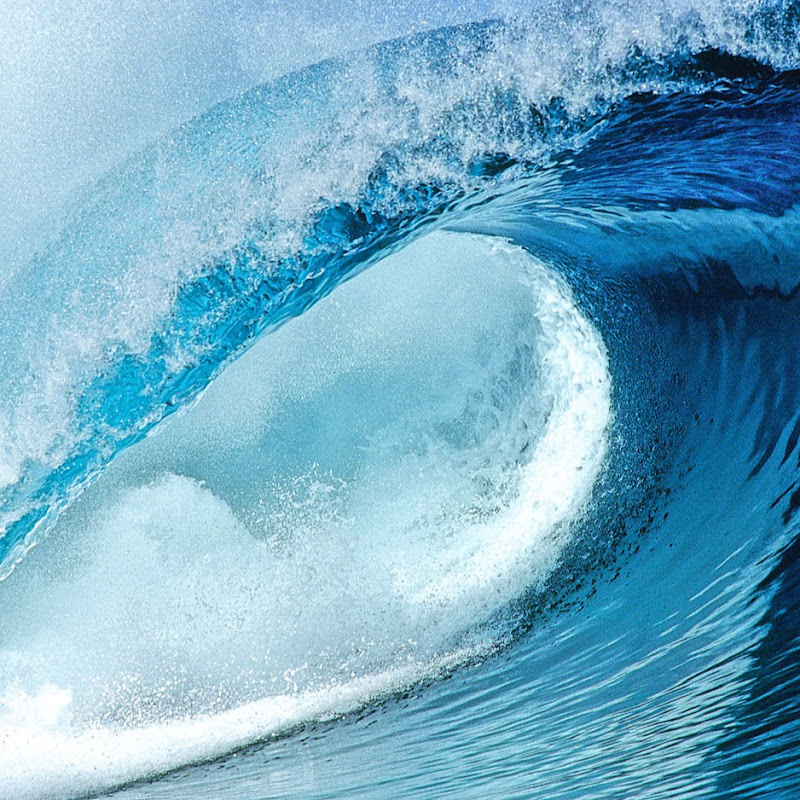 SurfersTVcabo