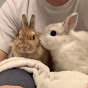 うさぎと暮らしと。のチャンネルアイコン