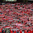 @conflict1904's avatar