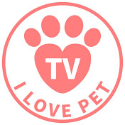 I LOVE PET TV