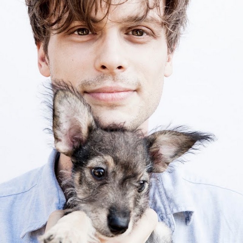 matthewgraygubler avatar