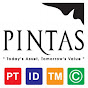 Pintas IP Group logo