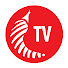 AX1s9NQhBvg-channel-avatar-Kochchi TV