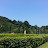 @여송-g3y