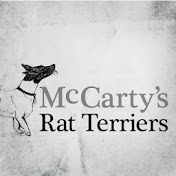 McCartys Terriers
