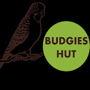 Budgies Hut