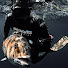 GdmyyrdxDdE-channel-avatar-Manolis Giankos
