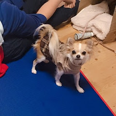 もりゆう先生