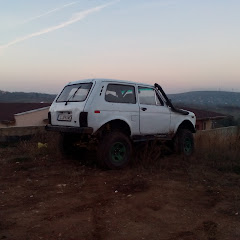 Забавления сред природата