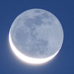 Star of Kumaの画像