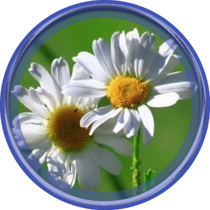 Елена Буравцова Жизнь Цветов Logo