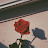 youtube avatar