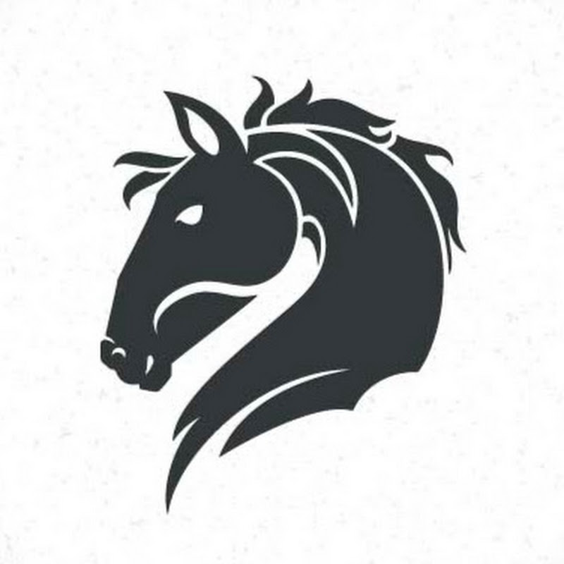 Financial Horse