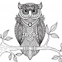 Grumpy Owl Outdoors logo