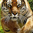@jeremyhunt4408 Avatar