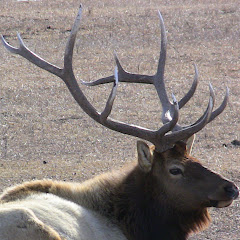 National Parks