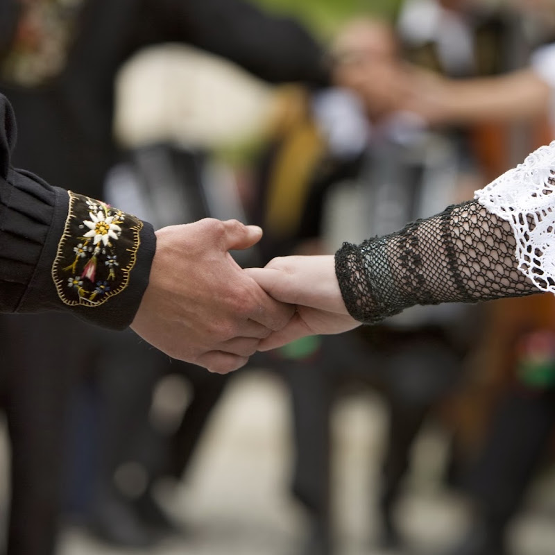 Schweizerische Trachtenvereinigung