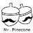 松菓先生Mr.pinecone