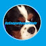 wLECPY3oA_Q-channel-avatar-DaSouperDooperDude