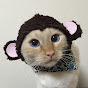 ぼろまり球撞くチャンネル