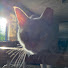 Czgwz7D8MYg-channel-avatar-Gabriel Goldman