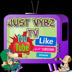 Just Vybz TV net worth