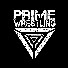 YX3Hn9O6yj4-channel-avatar-Prime Wrestling System