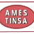 Ames Tinsa S.A.