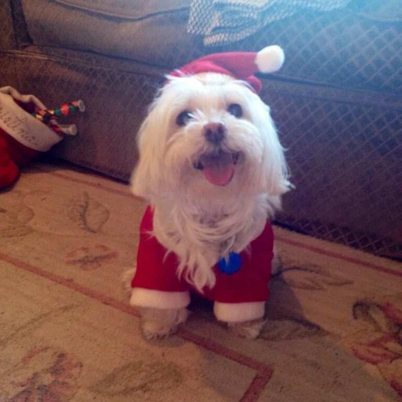 Bobby's Hobbies from the Train Hunter