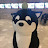 @6월15일-f2d