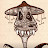 @CarolusBuchwurm Avatar