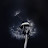 @lindawinkens5170 Avatar