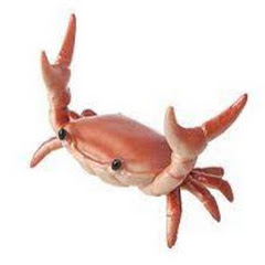 The King Of Crabs