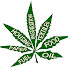 iX7OSL085Do-channel-avatar-SteveSpliffler