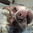 @marzcapone9939's avatar