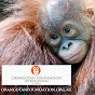 Orangutan Foundation International Australia logo