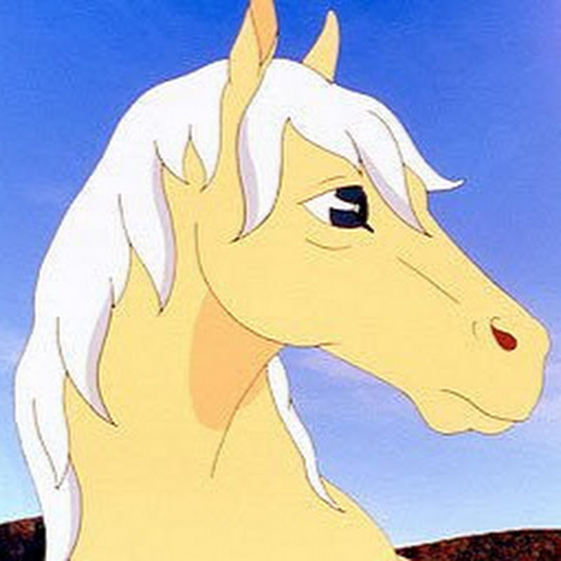 The Silver Brumby