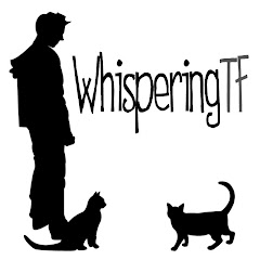 WhisperingTF net worth