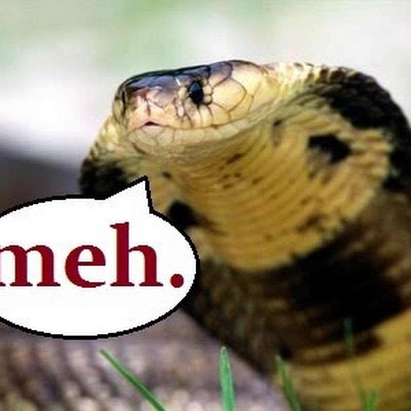ApatheticCobra