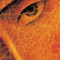 TD53yGurQsw-channel-avatar-Icon Film Distribution