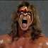 7p8TNUmKSiM-channel-avatar-WarriorTribute