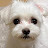 @user-zv6lh3jd2t