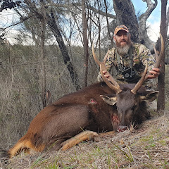 Zebra's Sambar hunting adventures.